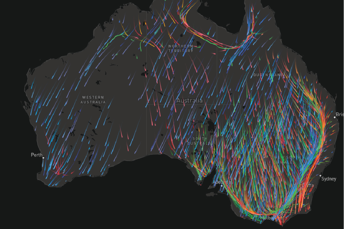 australia animal migration